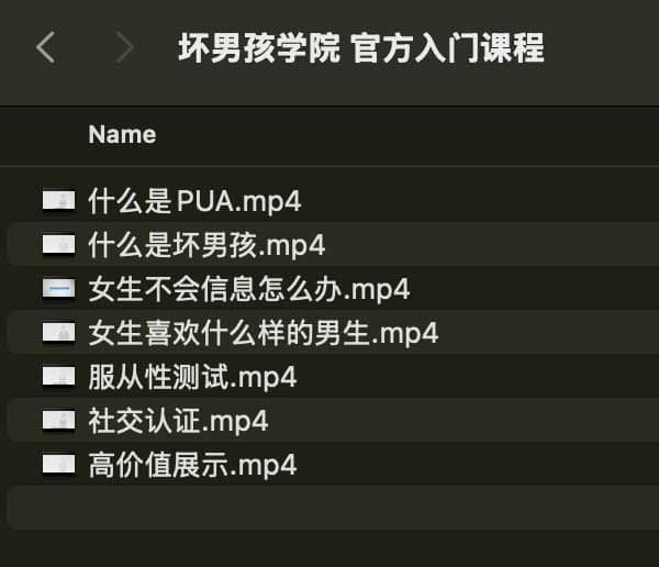 坏男孩学院 官方入门课程-网创源码