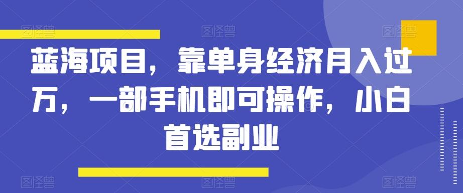 蓝海项目，靠单身经济月入过万，一部手机即可操作，小白首选副业【揭秘】-网创源码