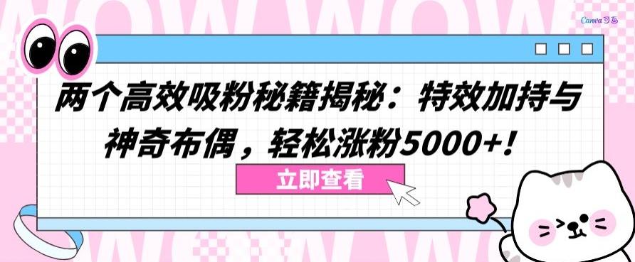 两个高效吸粉秘籍揭秘：特效加持与神奇布偶，轻松涨粉5000+【揭秘】-网创源码