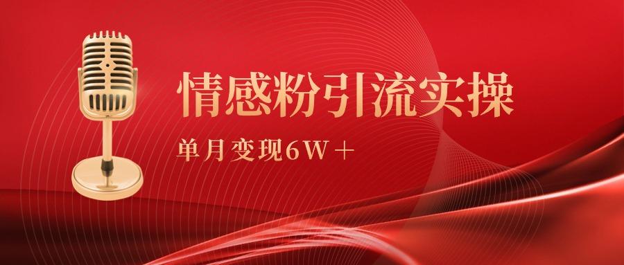 (9473期)单月变现6w+，情感粉引流变现实操课-网创源码