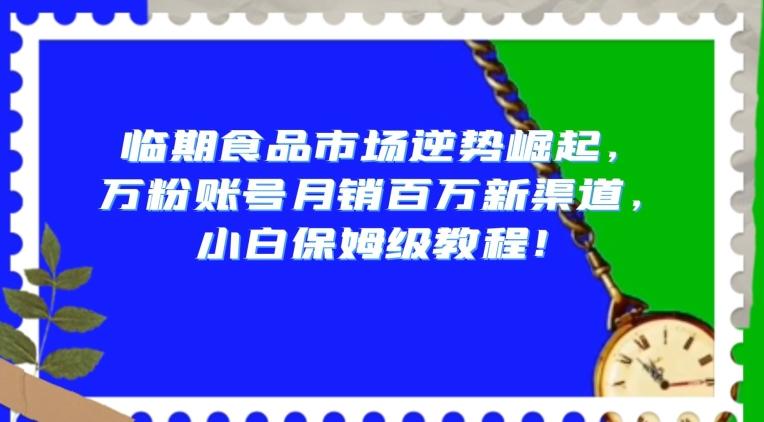 临期食品市场逆势崛起,万粉账号月销百万新渠道,小白保姆级教程【揭秘】-网创源码