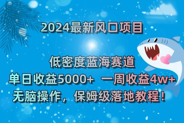 (8545期)2024最新风口项目 低密度蓝海赛道，日收益5000+周收益4w+ 无脑操作，保…-网创源码