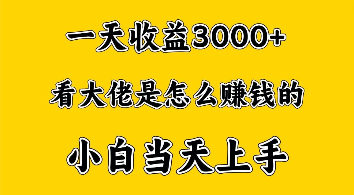 一天赚3000多,大佬是这样赚到钱的,小白当天上手,穷人翻身项目-网创源码