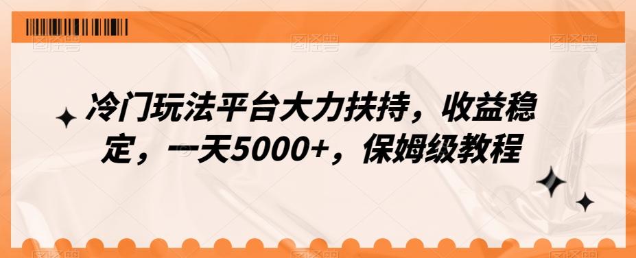 冷门玩法平台大力扶持，收益稳定，一天5000+，保姆级教程（附抖音7天起号法）-网创源码