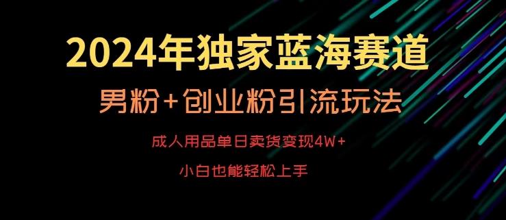 2024年独家蓝海赛道，成人用品单日卖货变现4W+，男粉+创业粉引流玩法，不愁搞不到流量【揭秘】-网创源码