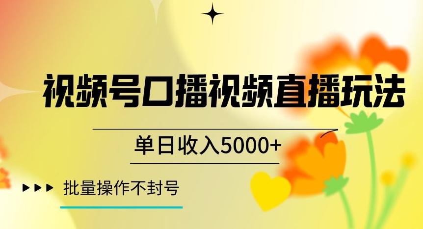 视频号囗播视频直播玩法，单日收入5000+，批量操作不封号【揭秘】-网创源码