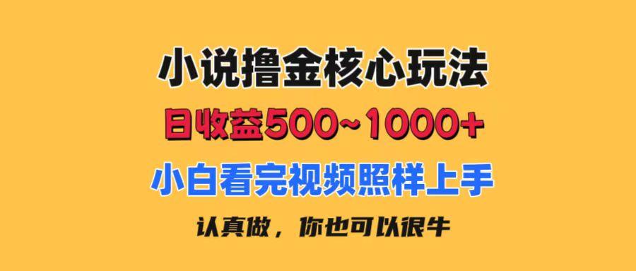 小说撸金核心玩法，日收益500-1000+，小白看完照样上手，0成本有手就行-网创源码