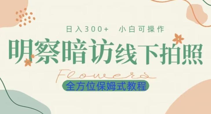 明拍暗拍项目0成本投入日入300+小白可操作保姆式全方位教程-网创源码