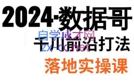 数据哥·2024年千川前沿打法落地实操课-网创源码