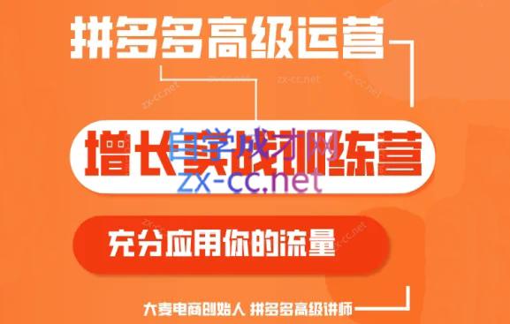 大麦老师·拼多多单品爆款打造课程(更新6月)-网创源码