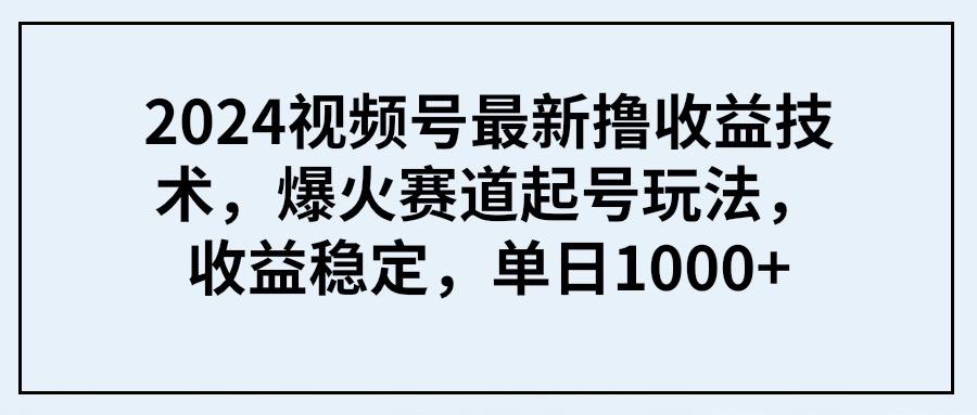 (9651期) 2024视频号最新撸收益技术，爆火赛道起号玩法，收益稳定，单日1000+-网创源码