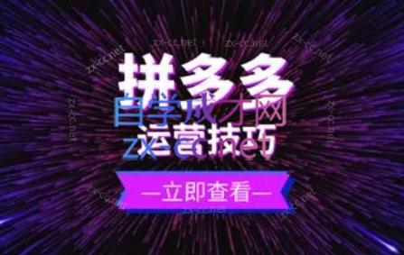 力辛电商·拼多多强付费店群玩法-网创源码