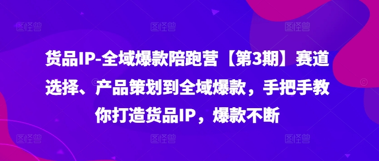 货品IP全域爆款陪跑营【第3期】赛道选择、产品策划到全域爆款，手把手教你打造货品IP，爆款不断-网创源码