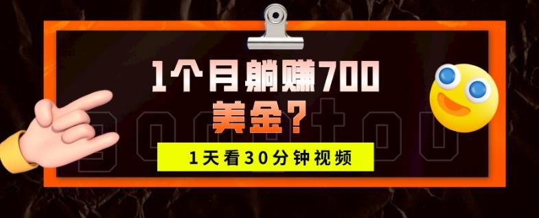 1天看30分钟视频，1个月躺赚700美金？-网创源码