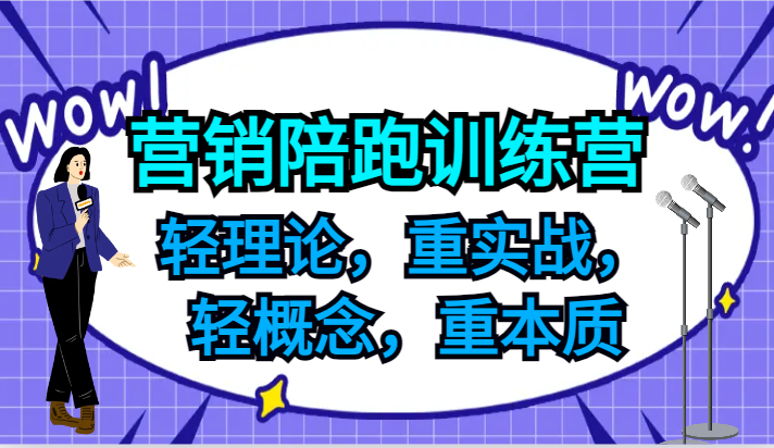 营销陪跑训练营，轻理论，重实战，轻概念，重本质，适合中小企业和初创企业的老板-网创源码