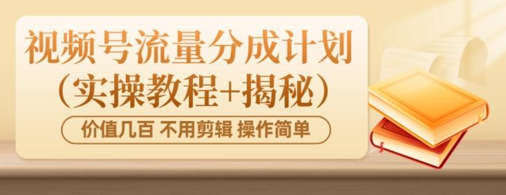 价值几百上千不用剪辑简单操作视频号流量分成计划（实操教程+揭秘）-网创源码