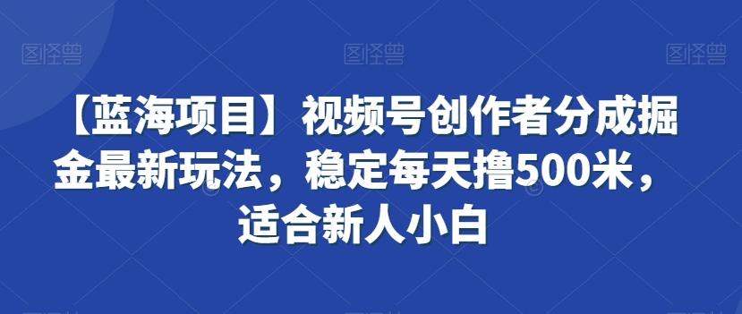 【蓝海项目】视频号创作者分成掘金最新玩法，稳定每天撸500米，适合新人小白【揭秘】-网创源码