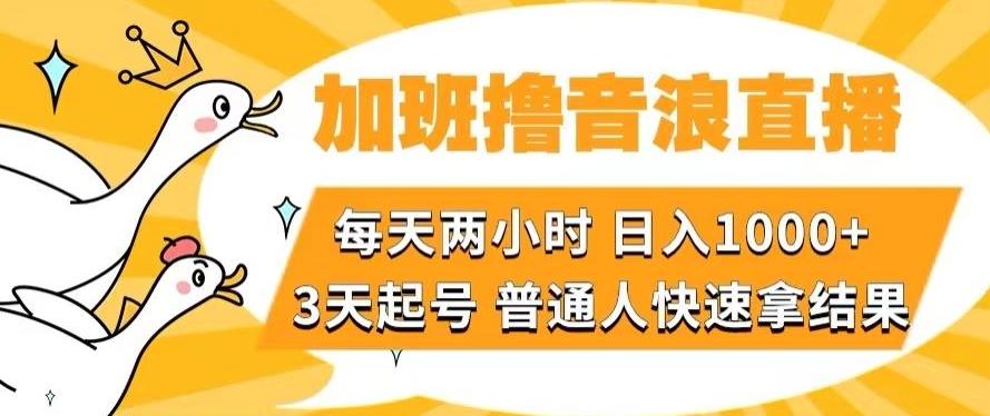 加班撸音浪直播,每天两小时,日入1000+,直播话术才3句,3天起号,普通人快速拿结果【揭秘】-网创源码