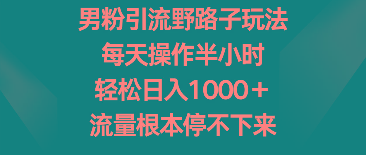 男粉引流野路子玩法,每天操作半小时轻松日入1000+,流量根本停不下来-网创源码