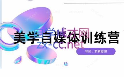 安娜·美学自媒体IP系统课-网创源码