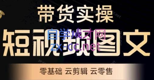 鑫哥·2024零基础短视频带货实操营-网创源码