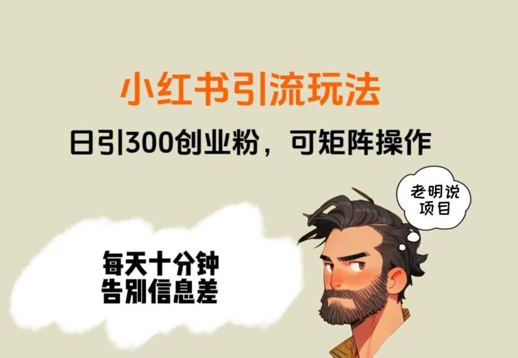 靠小红书视频日印300粉，两分钟一个视频轻松矩阵-网创源码