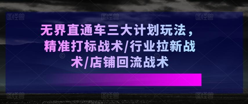 无界直通车三大计划玩法，精准打标战术/行业拉新战术/店铺回流战术-网创源码