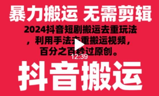 2024最新抖音搬运技术，抖音短剧视频去重，手法搬运，利用工具去重，达到秒过原创的效果【揭秘】-网创源码