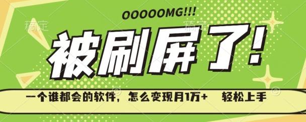 一个谁都会的软件，怎么变现月1万+轻松上手-网创源码