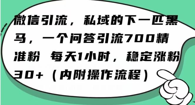 怎么搞精准创业粉?微信新赛道,每天一小时,利用Ai一个问答日引100精准粉-网创源码
