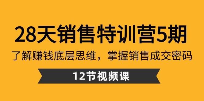28天销售特训营5期：了解赚钱底层思维，掌握销售成交密码（12节课）-网创源码
