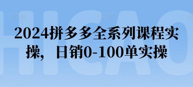 2024拼多多全系列课程实操，日销0-100单实操【必看】-网创源码