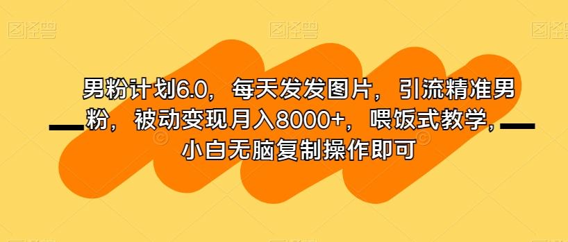 男粉计划6.0，每天发发图片，引流精准男粉，被动变现月入8000+，喂饭式教学，小白无脑复制操作即可-网创源码