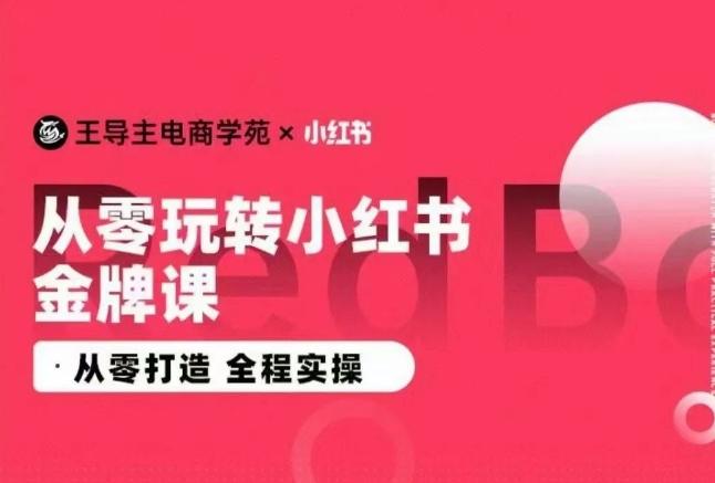 王导主·小红书电商运营实操课，​从零打造  全程实操-网创源码