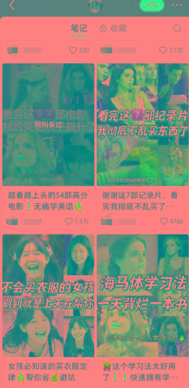 图片[1]-小红书最新创业粉引流，黑科技引爆全网流量裂变，简单操作长期吸粉-网创源码