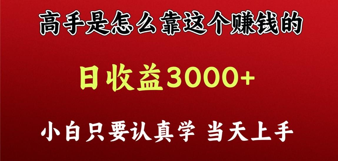 看高手是怎么赚钱的，一天收益至少3000+以上，小白当天上手-网创源码
