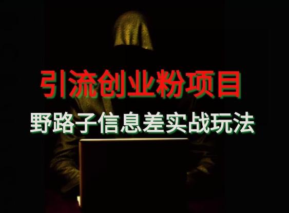 【引流创业粉】野路子信息差玩法实战教学-网创源码