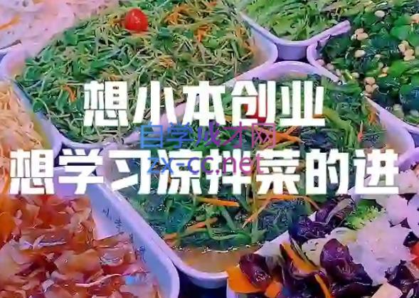 李记·精品凉拌菜系列热卤系列教程-网创源码