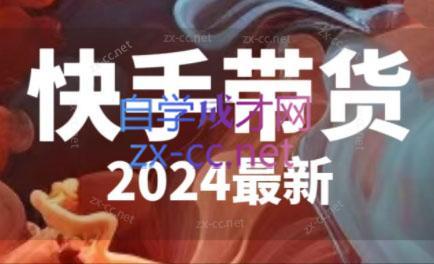 快手带货(2024最新)-网创源码