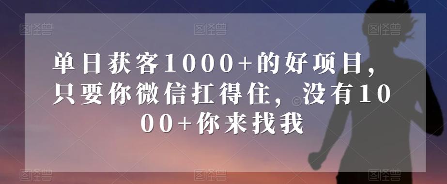 单日获客1000+的好项目，只要你微信扛得住，没有1000+你来找我【揭秘】-网创源码