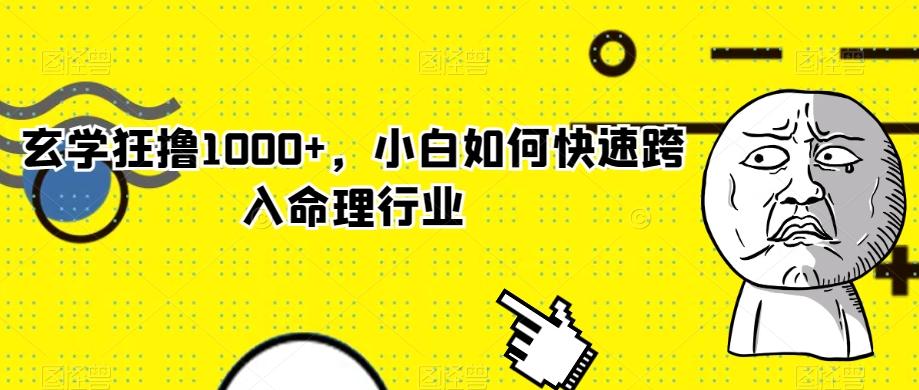玄学狂撸1000+，小白如何快速跨入命理行业-网创源码