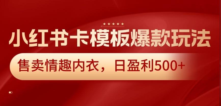 小红书卡模板爆款玩法，售卖情趣内衣，日盈利500+【揭秘】-网创源码