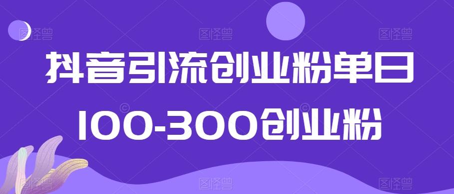 抖音引流创业粉单日100-300创业粉【揭秘】-网创源码