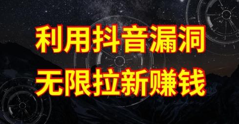利用抖音链接漏洞，无限拉新赚钱【漏洞原理+操作流程】【揭秘】-网创源码