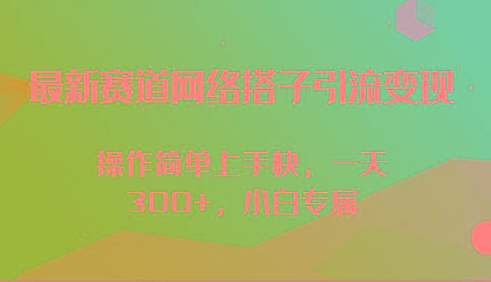 最新赛道网络搭子引流变现!!操作简单上手快，一天300+，小白专属-网创源码