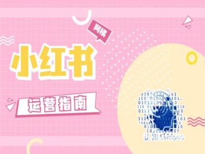 小红书运营指南，没有套路，全是经验-网创源码