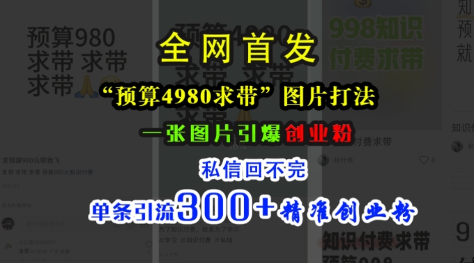 小红书“预算4980带我飞”图片打法,一张图片引爆创业粉,私信回不完,单条引流300+精准创业粉-网创源码