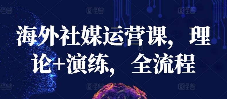 海外社媒运营课，理论+演练，全流程-网创源码