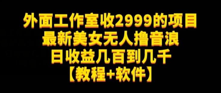 外面工作室收2999的项目最新美女无人撸音浪日收益几百到几千【教程+软件】(仅揭秘)-网创源码