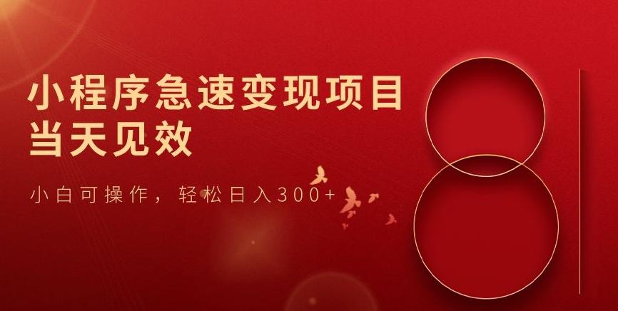 小程序急速变现项目，当天见效，小白可操作，轻松日入300+-网创源码